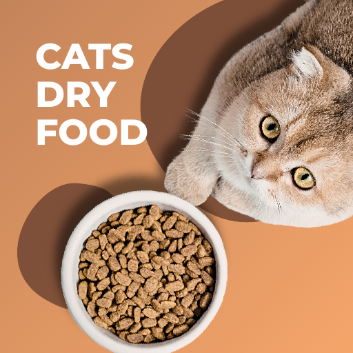 Cats Dry Food