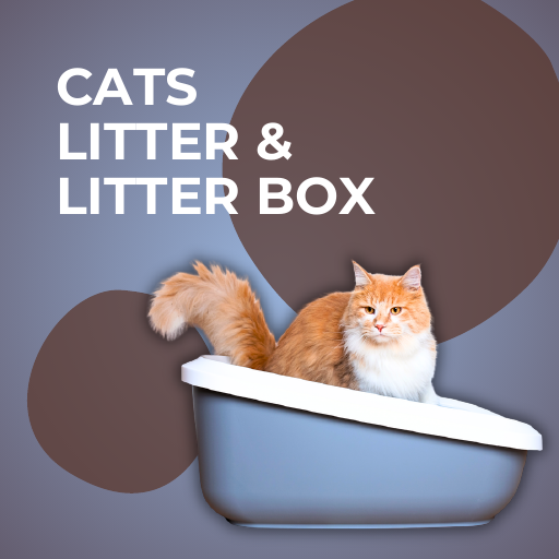 Cats Litter & Litter Box