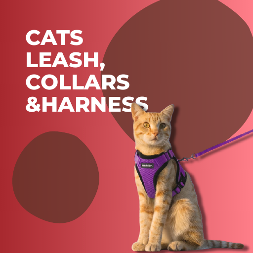 Cats Leash, Collars & Harness