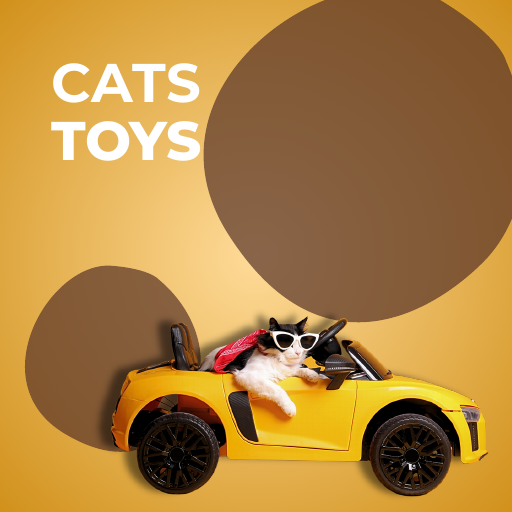 Cats Toys