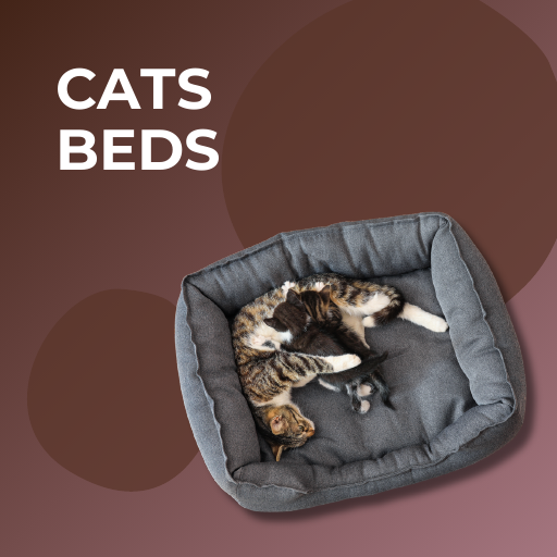 Cats Beds