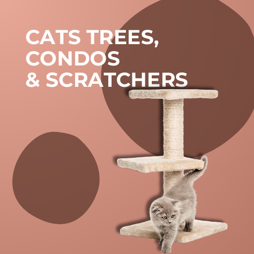 Cats Trees Condos & Scratchers