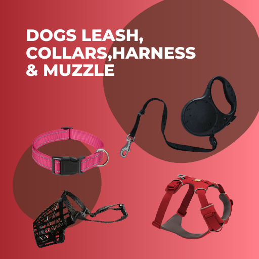 Dogs Leash, Collars, Harness & Muzzle