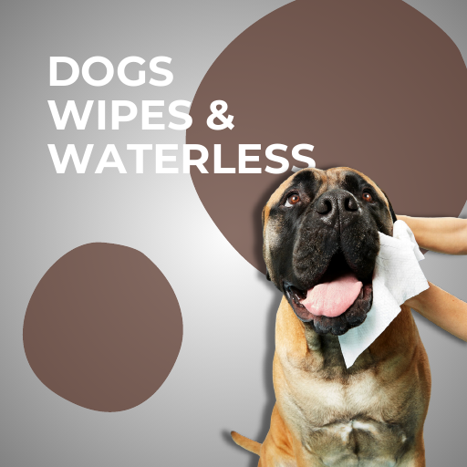 Dogs Wipes & Waterless