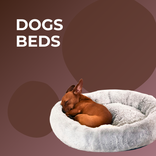 Dogs Beds