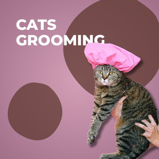 Cats Grooming