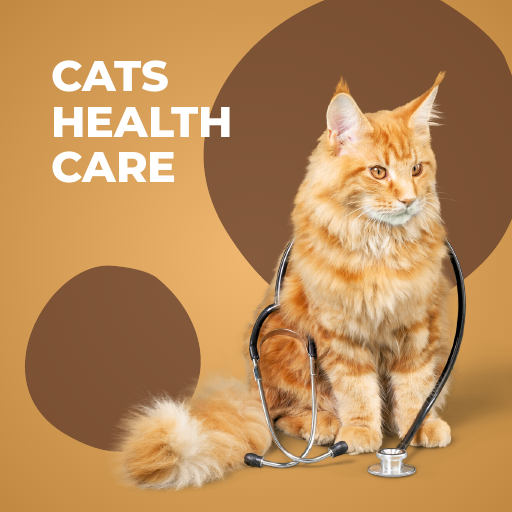 ⁠Cats Health Care