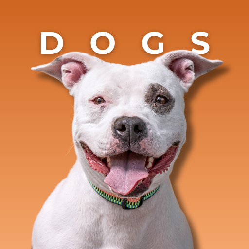 Dogs