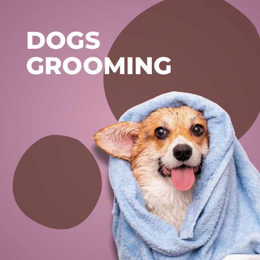 Dogs Grooming