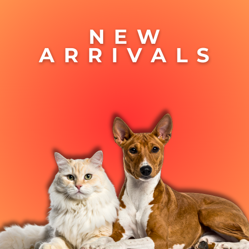 New Arrivals