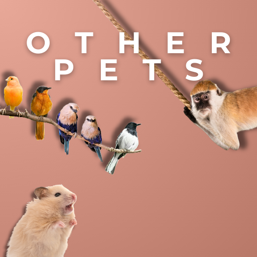 Other Pets