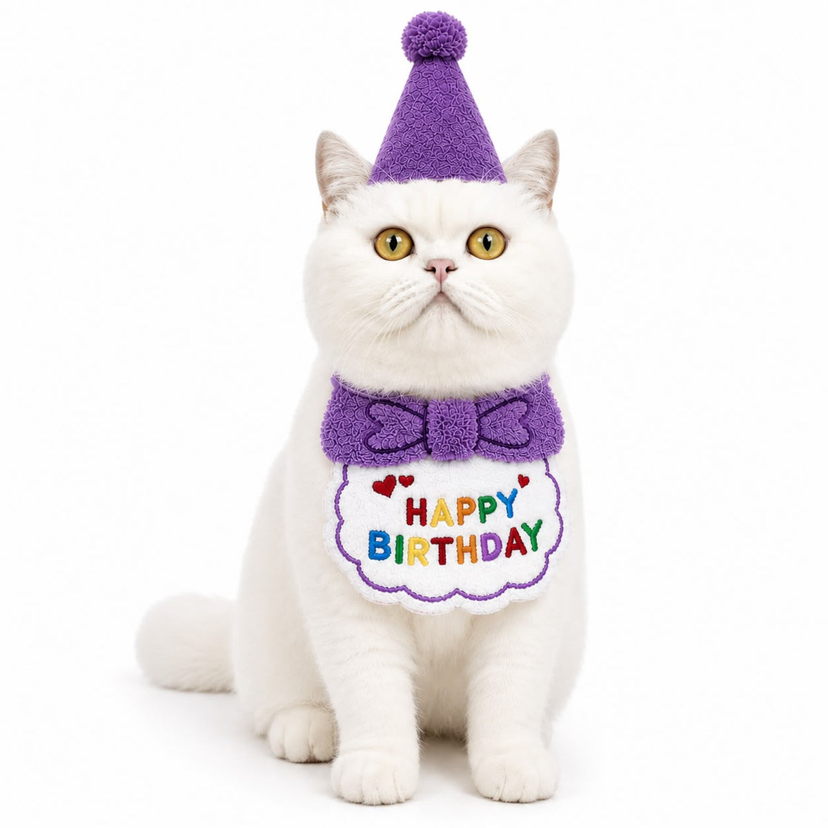 Happy Birthday Pet Bib – Purple