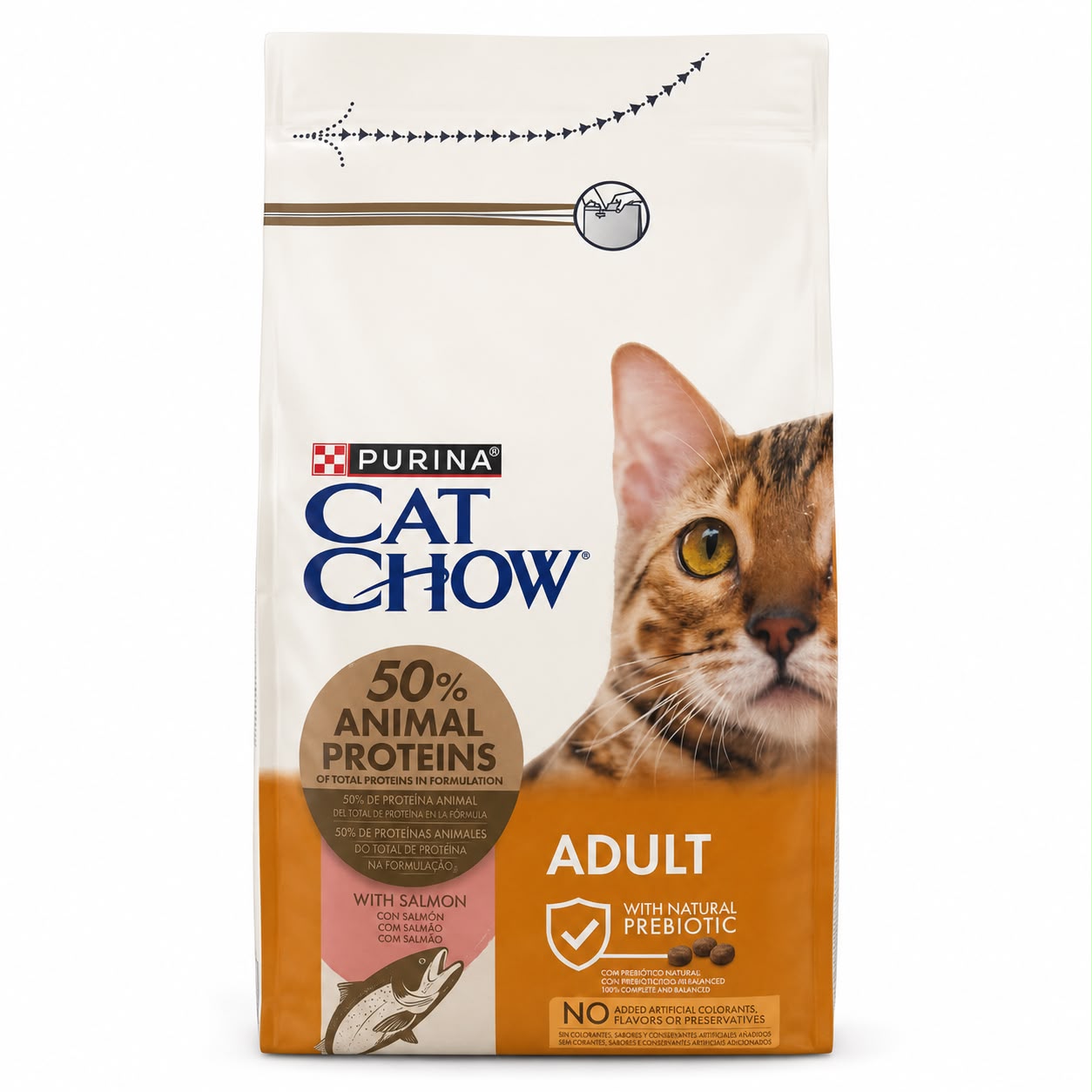 Purina Cat Chow Adult Dry Cat Food with Salmon