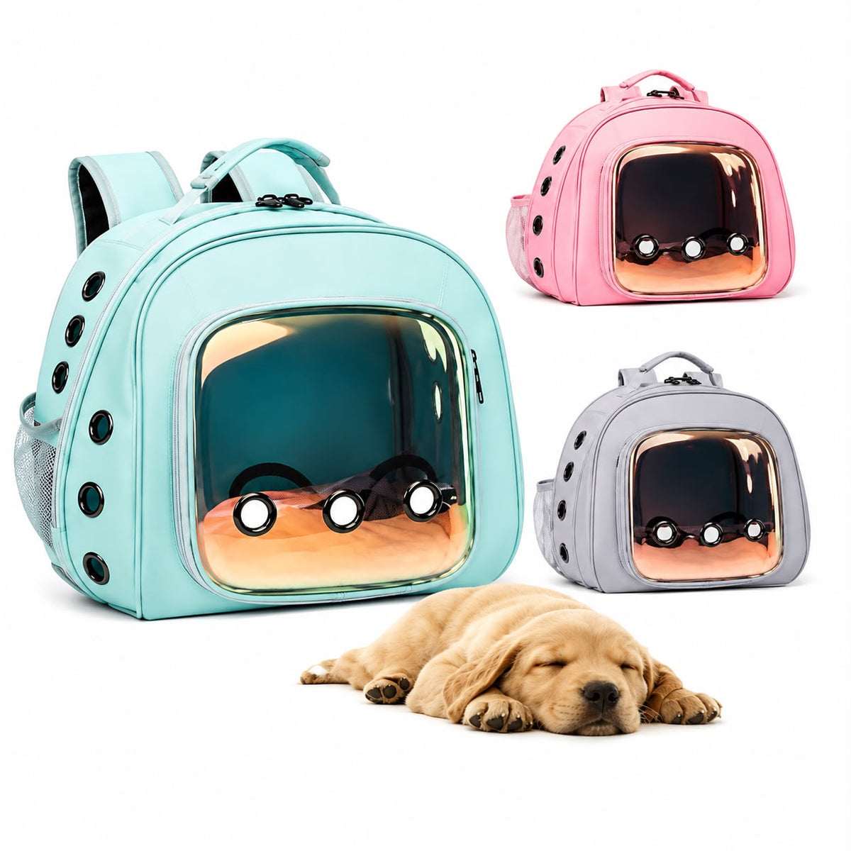 Transparent Bubble Pet Carrier Backpack for Cats & Small Dogs