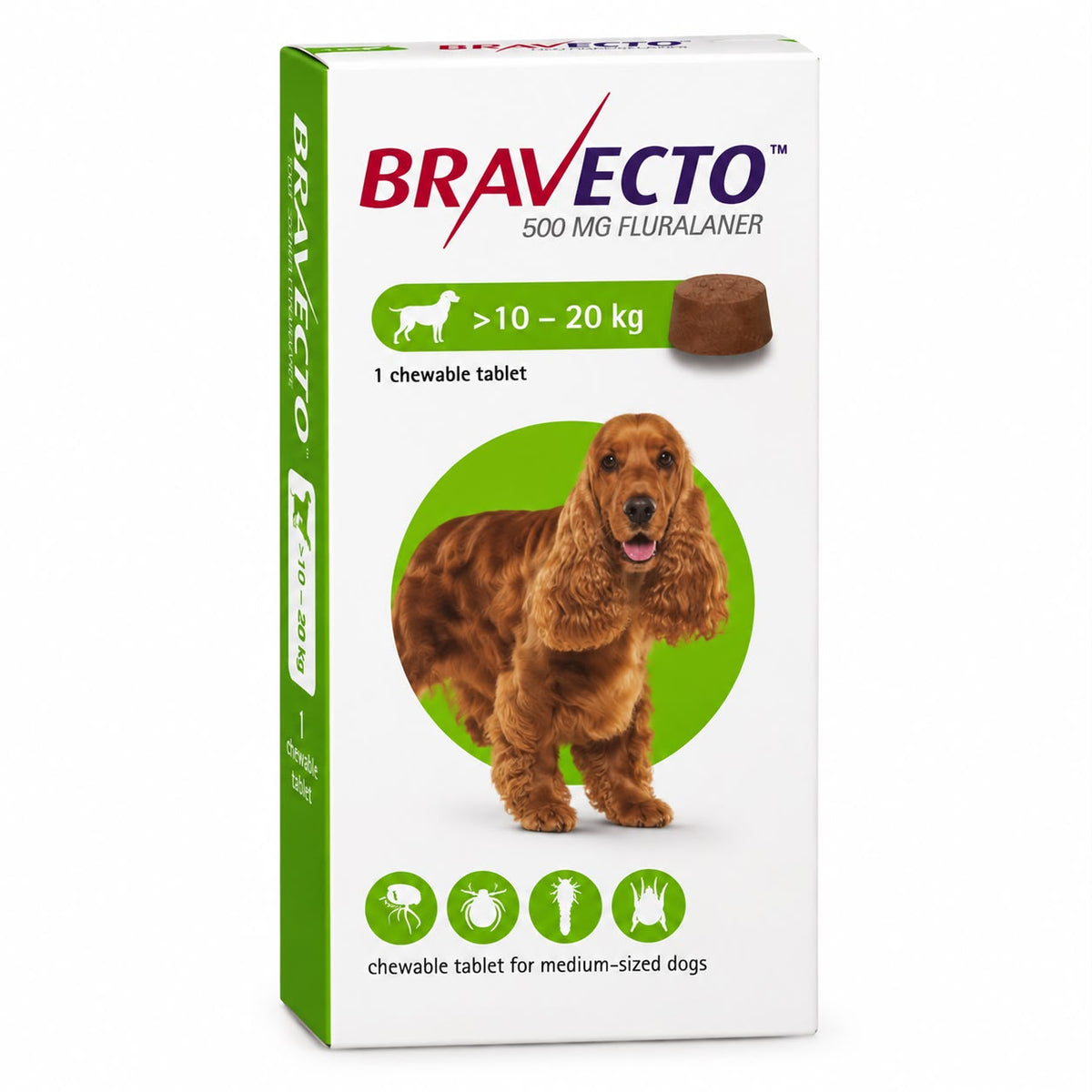 Bravecto Chewable Tablet for Medium Dogs 10–20 kg – 500 mg Fluralaner