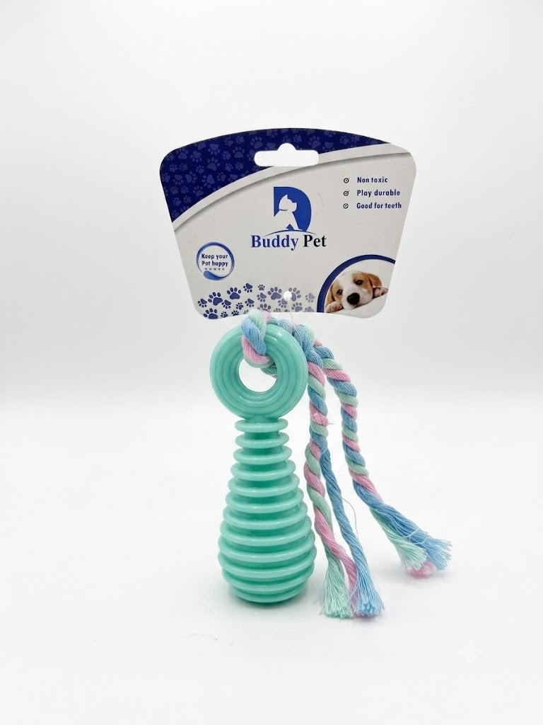 Buddy Pet Durable Interactive Dog Toy - Mint Green Ribbed Chew & Tug with Pastel Rope