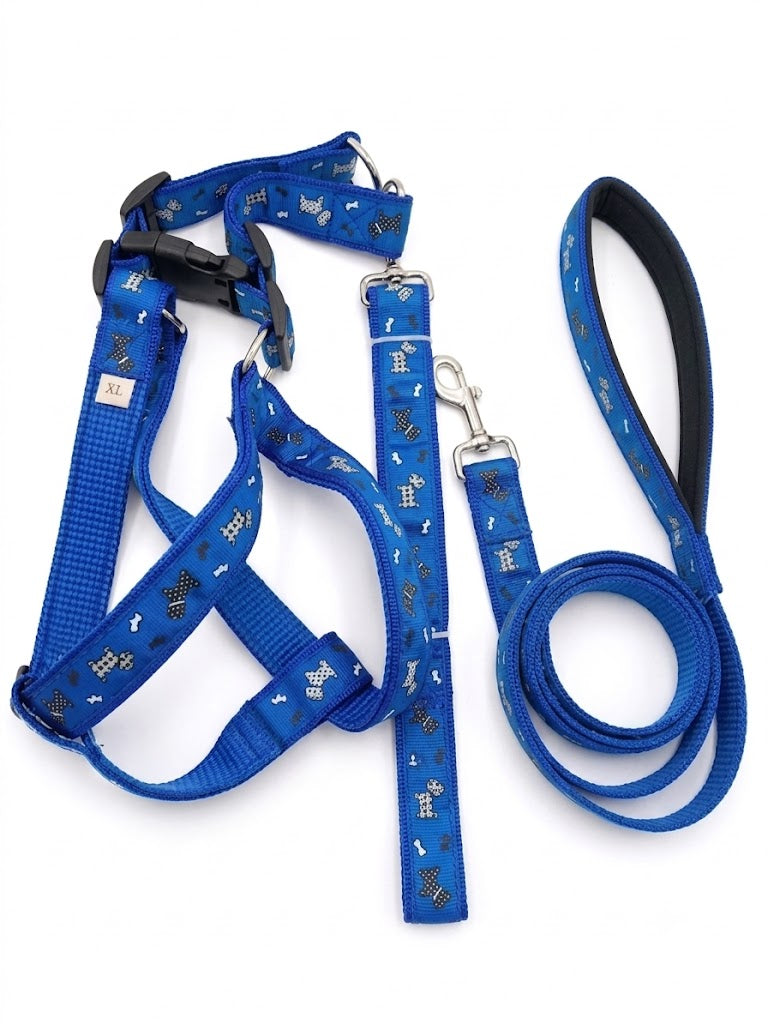 Premium Royal Blue Step-In Harness & Matching Flat-Coiled Leash Set (XL)