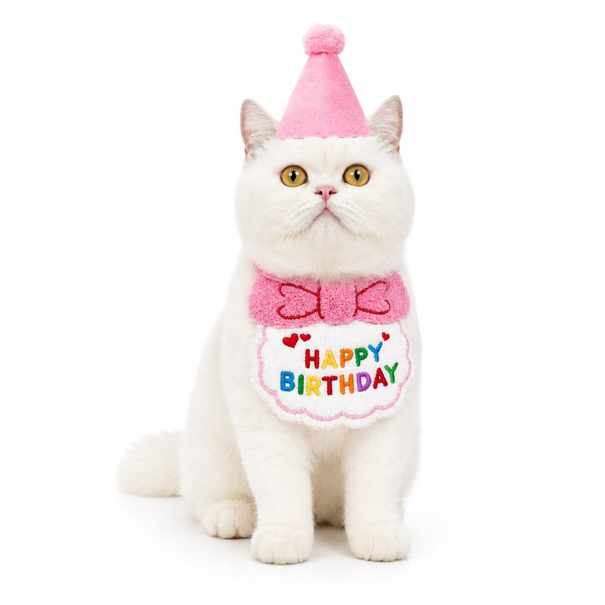 Happy Birthday Pet Bib – Pink